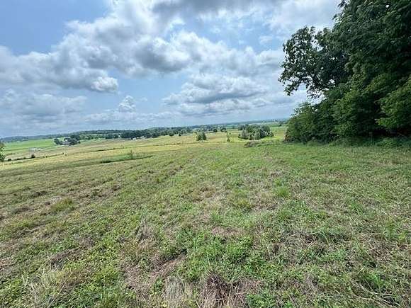 50.86 Acres of Agricultural Land for Sale in Hardyville, Kentucky