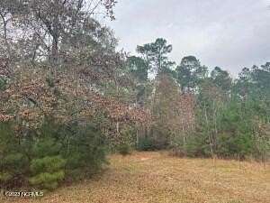 7.92 Acres of Land for Sale in Supply, North Carolina