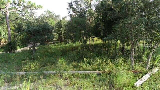 0.42 Acres of Residential Land for Sale in Weeki Wachee, Florida