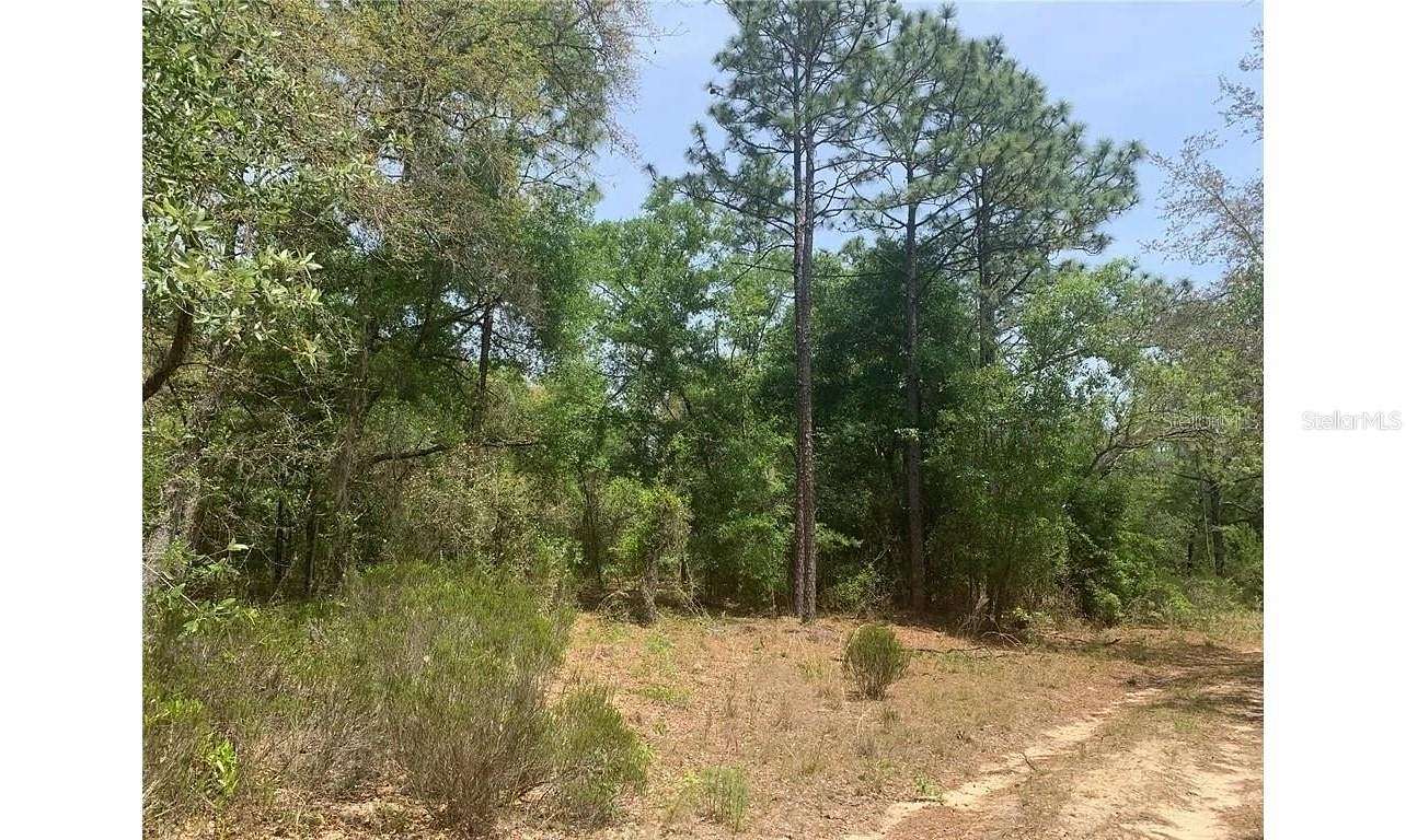 1.01 Acres of Residential Land for Sale in Interlachen, Florida