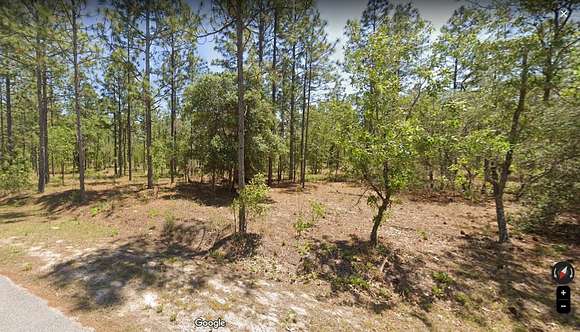 0.25 Acres of Residential Land for Sale in Dunnellon, Florida