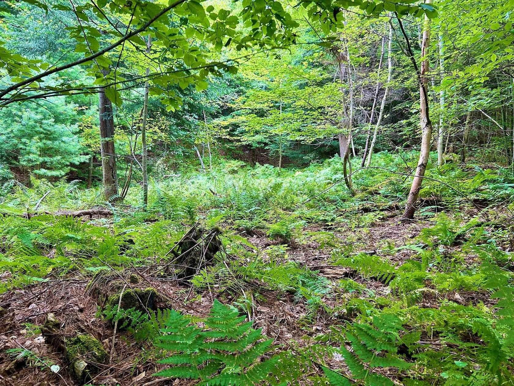 0.56 Acres of Land for Sale in Haverhill, New Hampshire