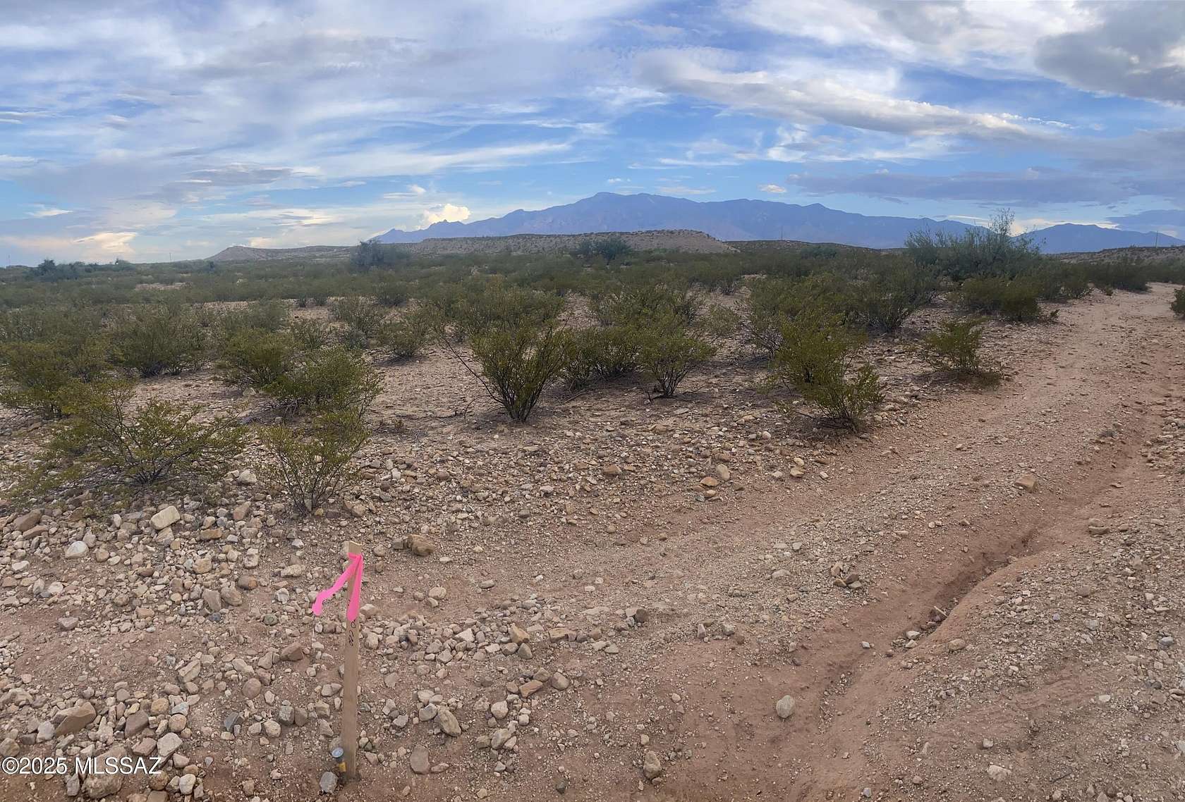10 Acres of Residential Land for Sale in Pima, Arizona