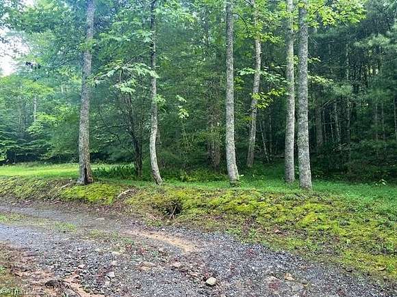 19.25 Acres of Recreational Land for Sale in Hays, North Carolina