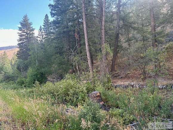 1.32 Acres of Residential Land for Sale in North Fork, Idaho