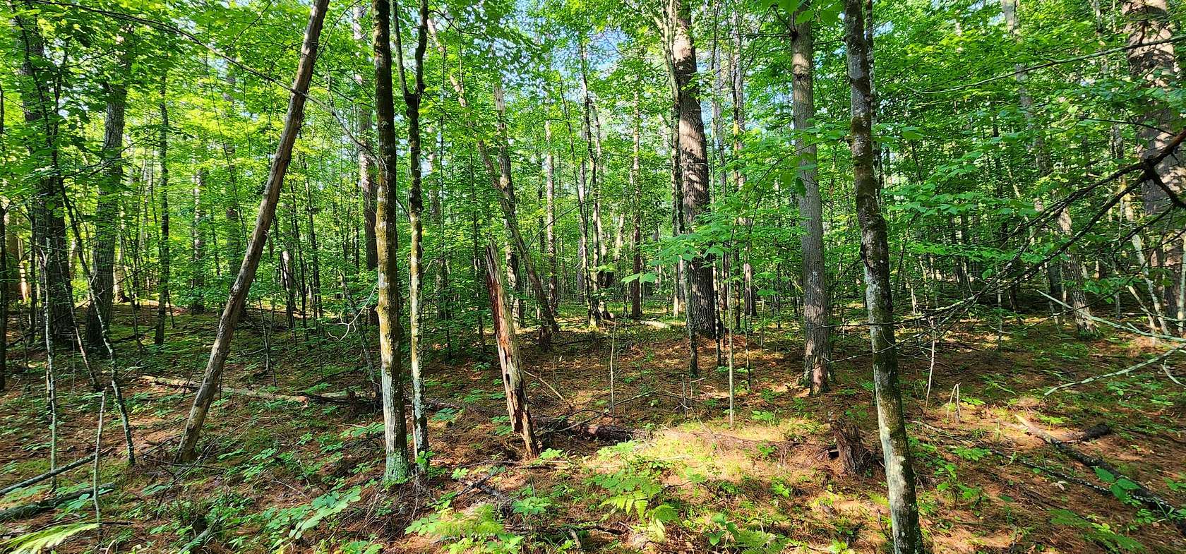 6.65 Acres of Residential Land for Sale in Jay, New York