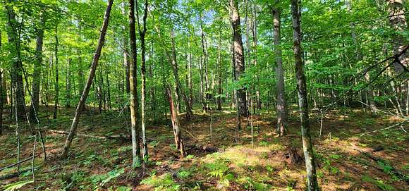 6.65 Acres of Residential Land for Sale in Jay, New York