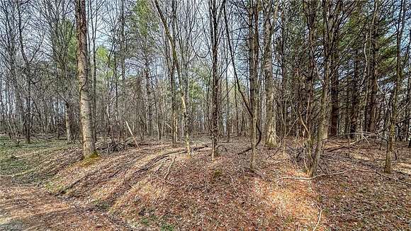 0.96 Acres of Land for Sale in Creston, North Carolina