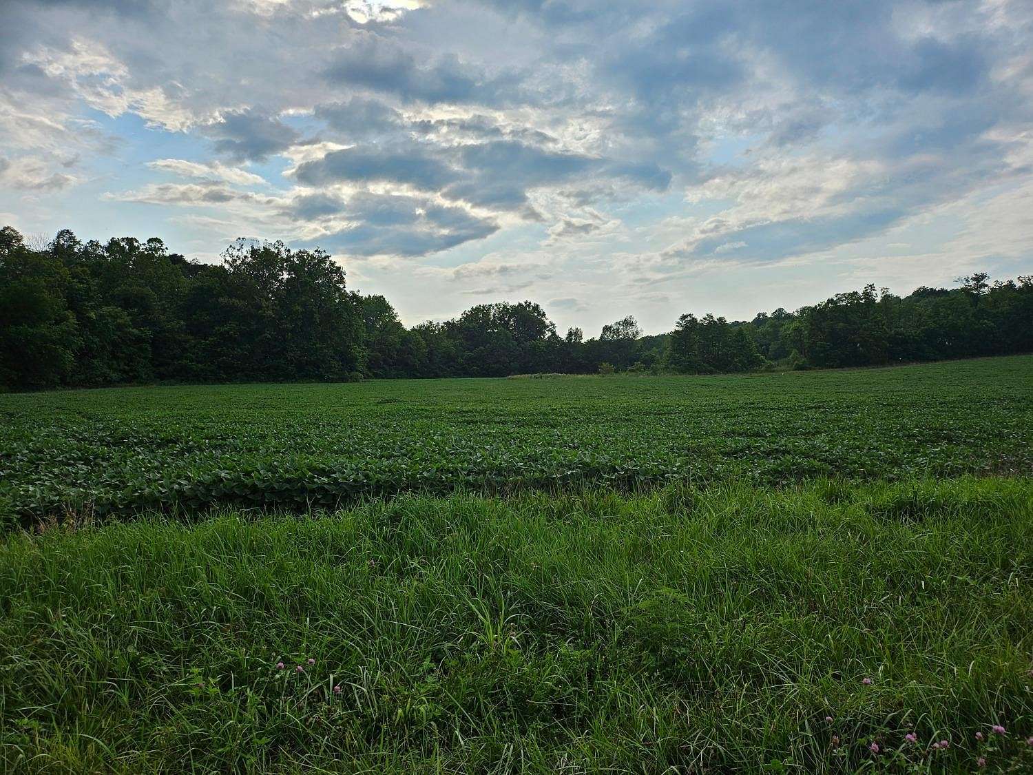 152.147 Acres of Recreational Land & Farm for Sale in Connersville, Indiana