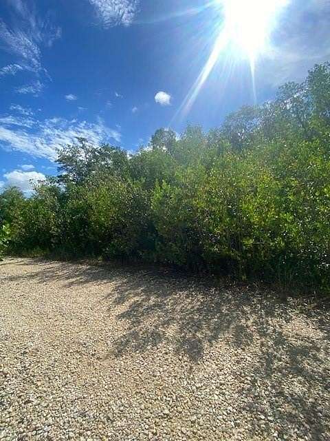 0.14 Acres of Residential Land for Sale in Everglades City, Florida