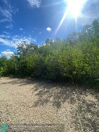 0.14 Acres of Residential Land for Sale in Everglades City, Florida