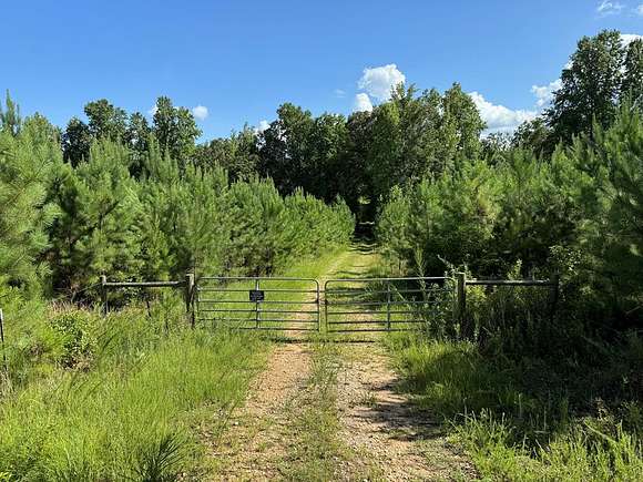 531.37 Acres of Recreational Land for Sale in Pine Mountain Valley, Georgia