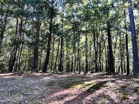 14.7 Acres of Land for Sale in Hampton, Georgia