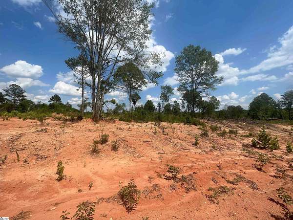 72.3 Acres of Recreational & Residential Land for Sale in Woodruff, South Carolina