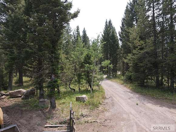 5 Acres of Land for Sale in Island Park, Idaho