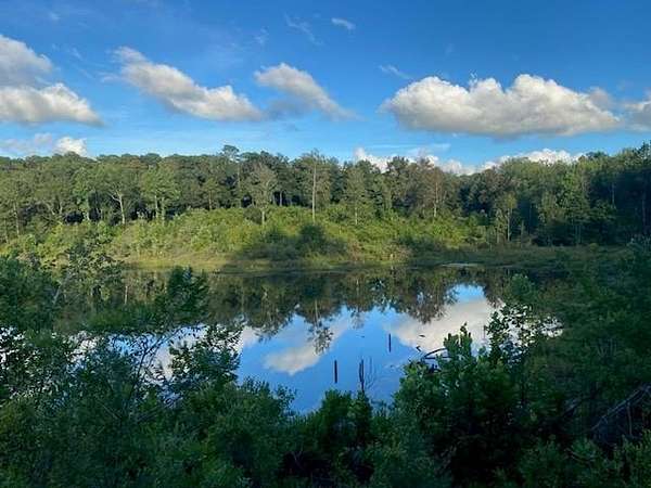 98 Acres of Recreational & Residential Land for Sale in Newton, Alabama