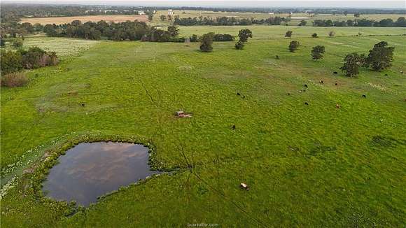 45 Acres of Improved Land for Sale in Iola, Texas