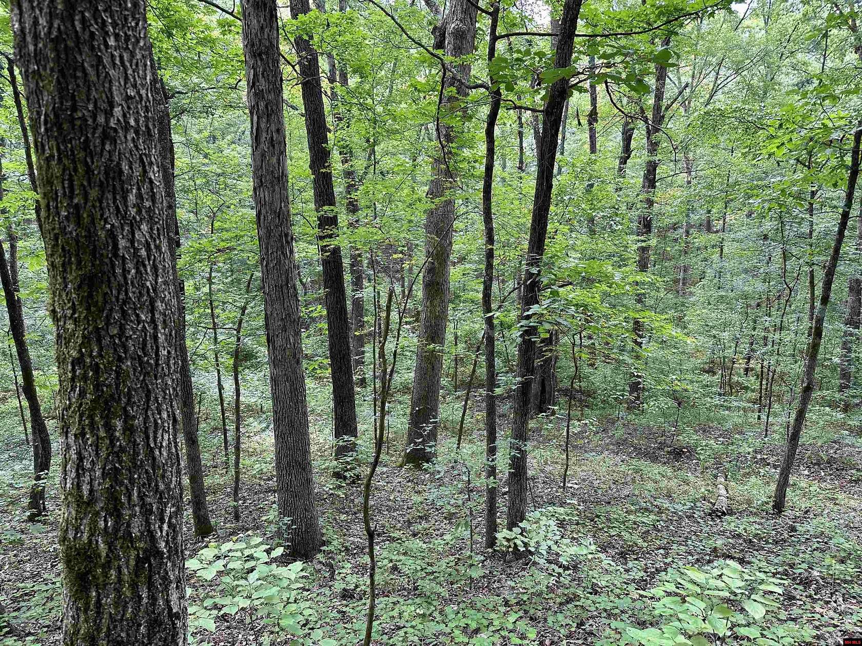 20 Acres of Land for Sale in Shirley, Arkansas