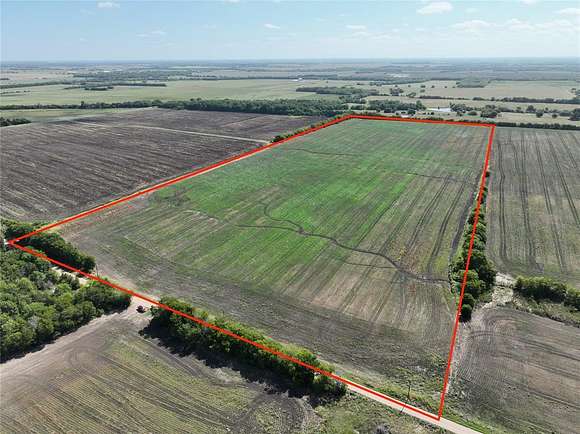 53.576 Acres of Agricultural Land for Sale in Petty, Texas