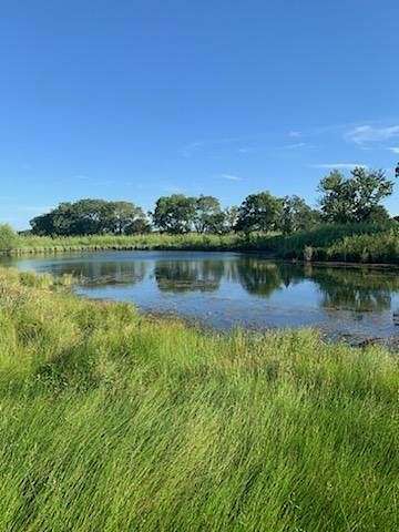 31.86 Acres of Agricultural Land for Sale in Pattonville, Texas