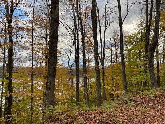 1.2 Acres of Residential Land for Sale in Old Forge, New York