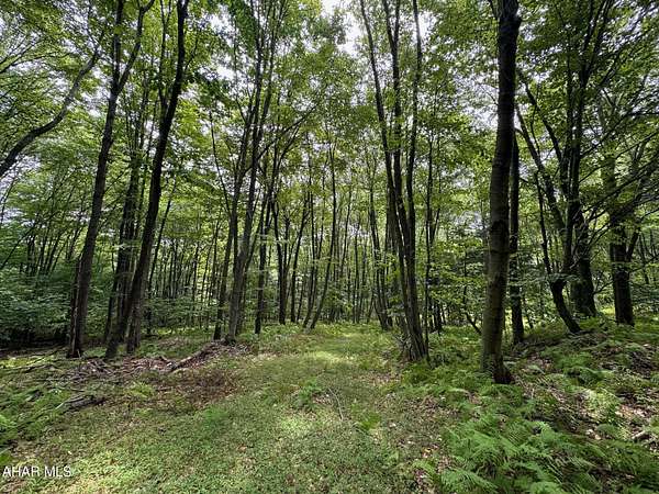 219 Acres of Recreational Land for Sale in New Enterprise, Pennsylvania