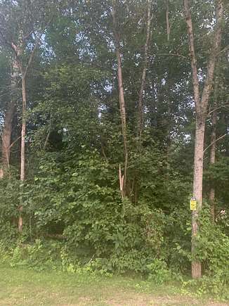 Land for Sale in St. Helen, Michigan