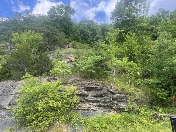 67.11 Acres of Agricultural Land for Sale in Pikeville, Kentucky