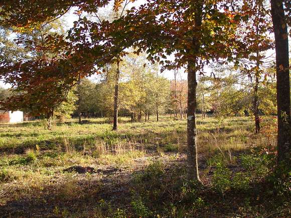 2.38 Acres of Residential Land for Sale in Ravenel, South Carolina