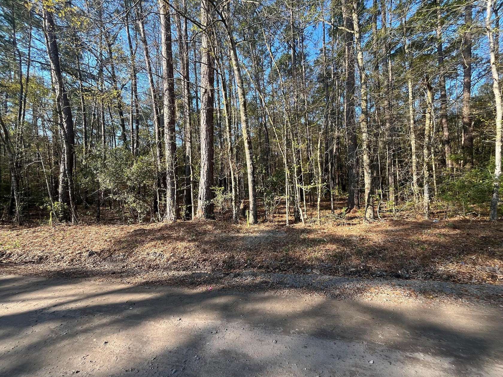 1.02 Acres of Residential Land for Sale in Adams Run, South Carolina