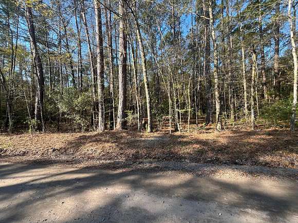 1.02 Acres of Residential Land for Sale in Adams Run, South Carolina