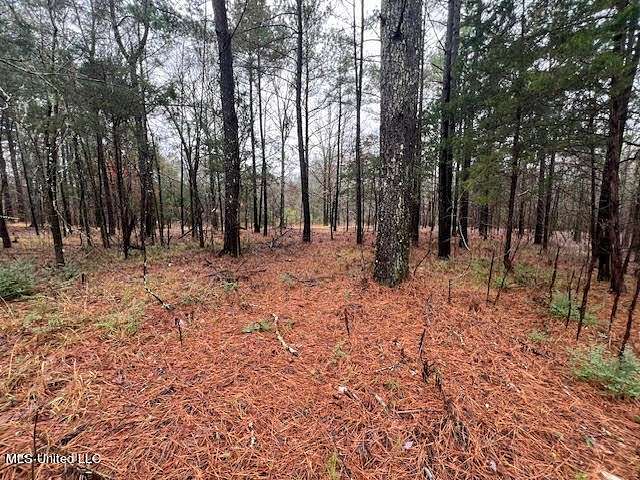 2 Acres of Residential Land for Sale in Byhalia, Mississippi