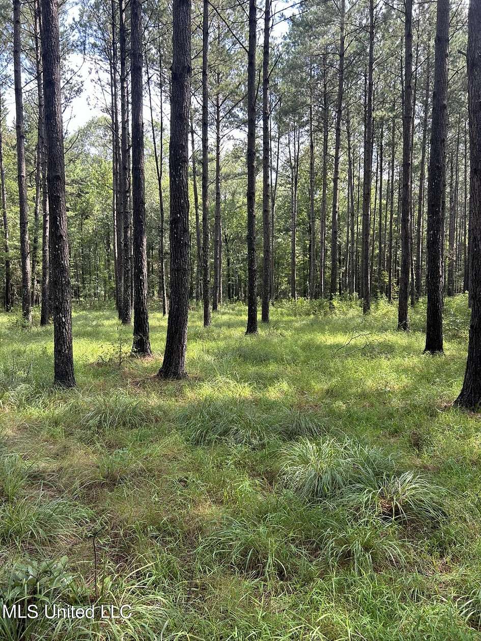 68 Acres of Land for Sale in Mount Olive, Mississippi