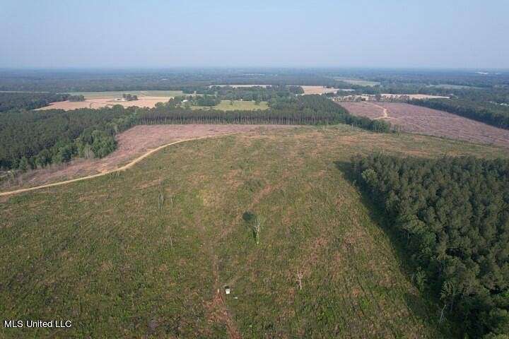 60.4 Acres of Land for Sale in Pelahatchie, Mississippi