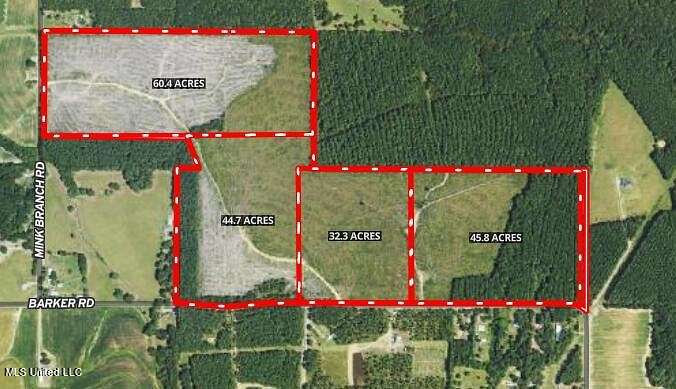 32.3 Acres of Land for Sale in Pelahatchie, Mississippi