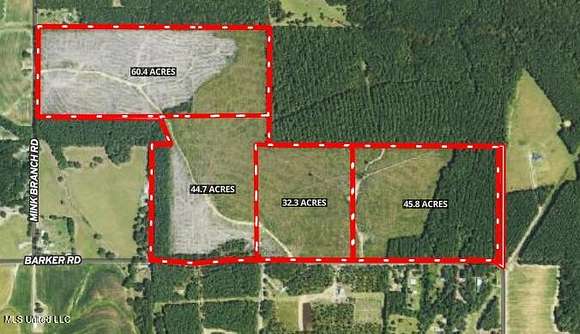 32.3 Acres of Land for Sale in Pelahatchie, Mississippi