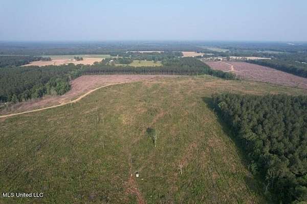 32.3 Acres of Recreational Land for Sale in Pelahatchie, Mississippi