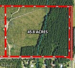 45.8 Acres of Recreational Land for Sale in Pelahatchie, Mississippi