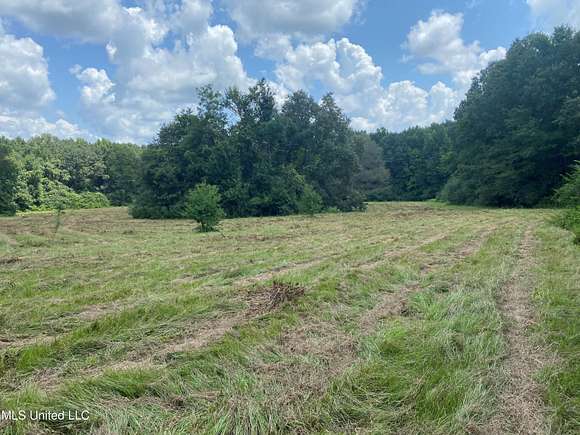 33.7 Acres of Land for Sale in Lena, Mississippi