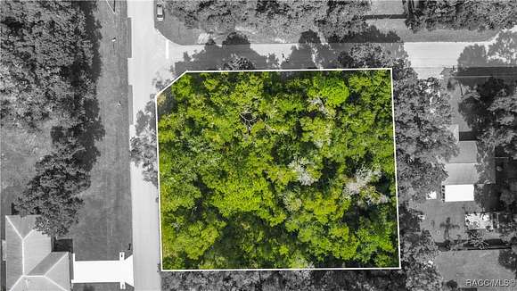 0.45 Acres of Residential Land for Sale in Inverness, Florida