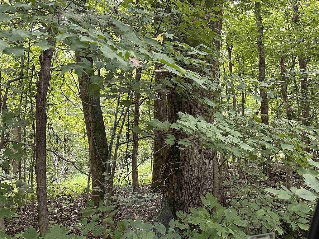 Land for Sale in Lewisport, Kentucky