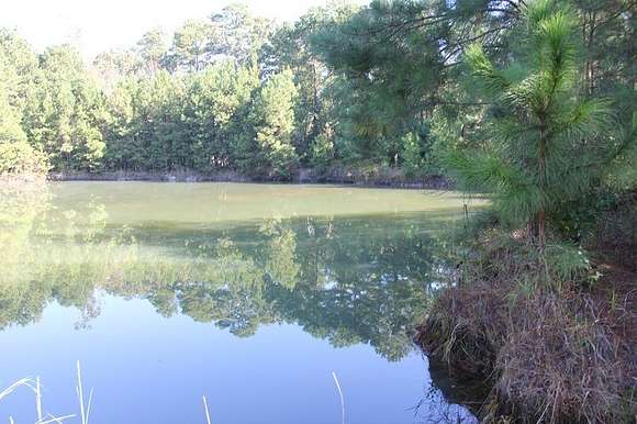 30 Acres of Recreational Land for Sale in Orangeburg, South Carolina