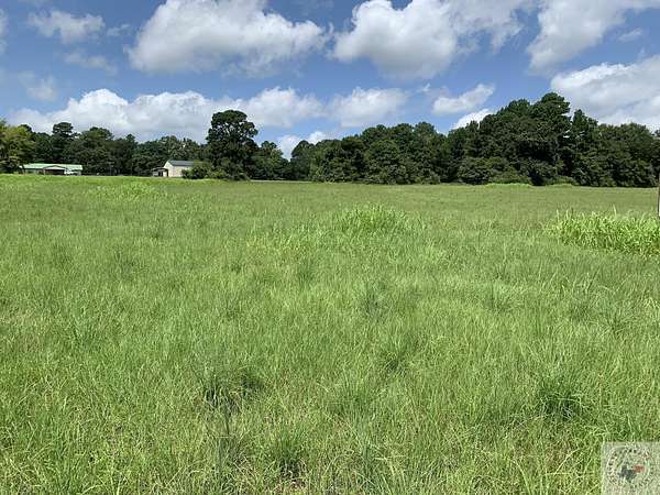 4.4 Acres of Mixed-Use Land for Sale in Atlanta, Texas