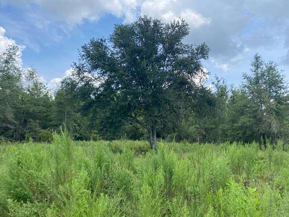 20.5 Acres of Recreational Land for Sale in Lee, Florida