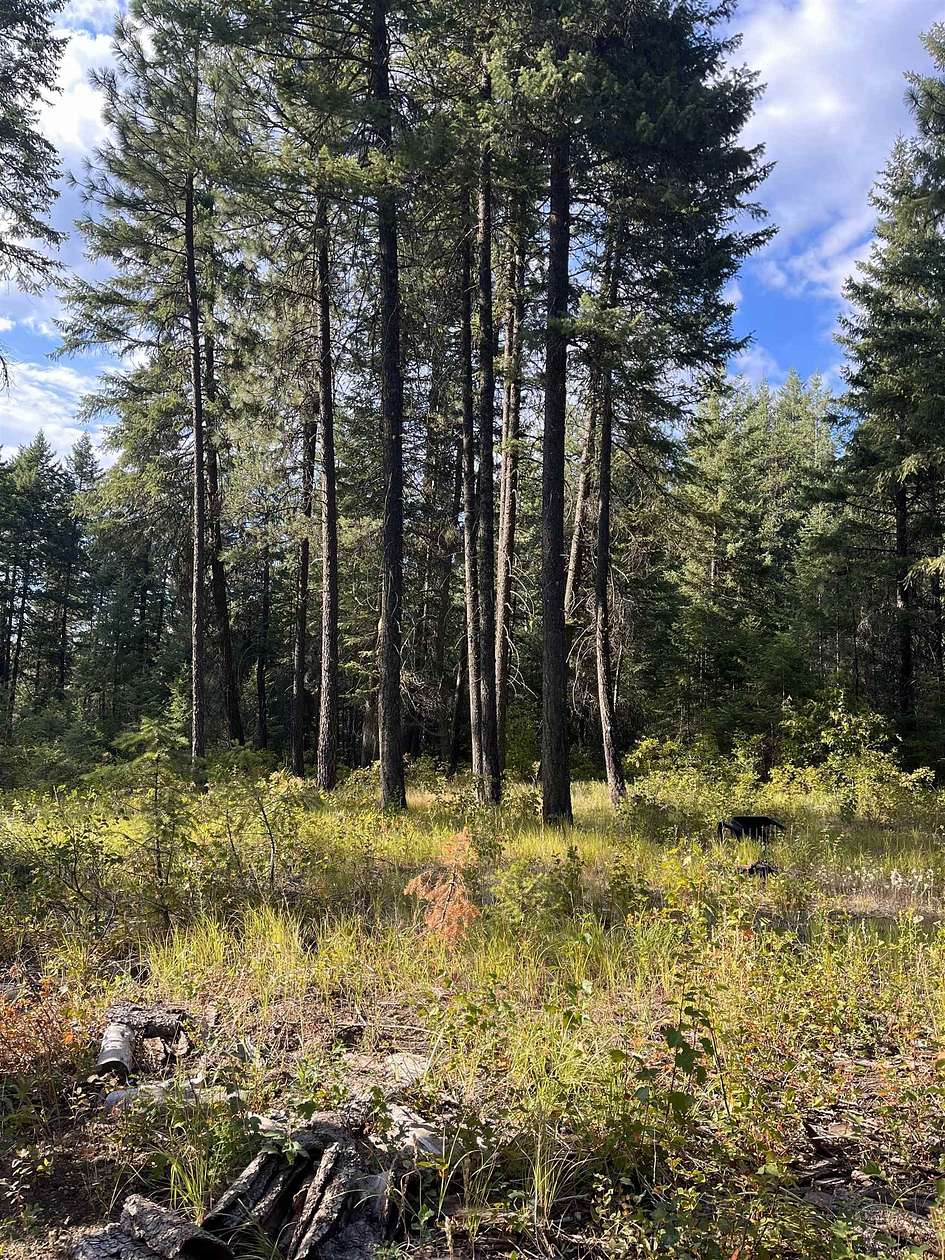 13.57 Acres of Land for Sale in Loon Lake, Washington