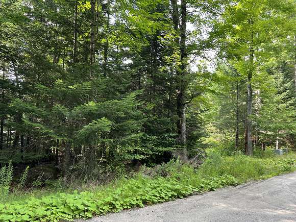 5.38 Acres of Residential Land for Sale in Lake Placid, New York