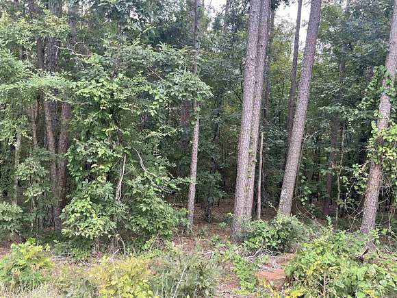 3.1 Acres of Residential Land for Sale in Greers Ferry, Arkansas