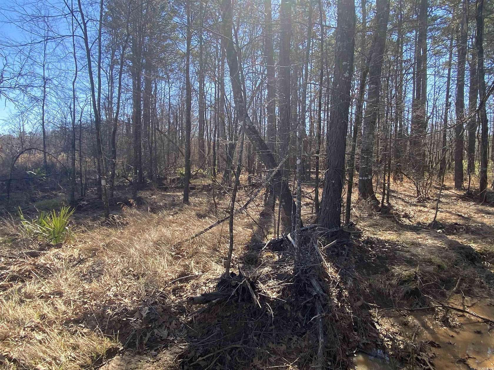 30 Acres of Recreational Land for Sale in Johnsville, Arkansas