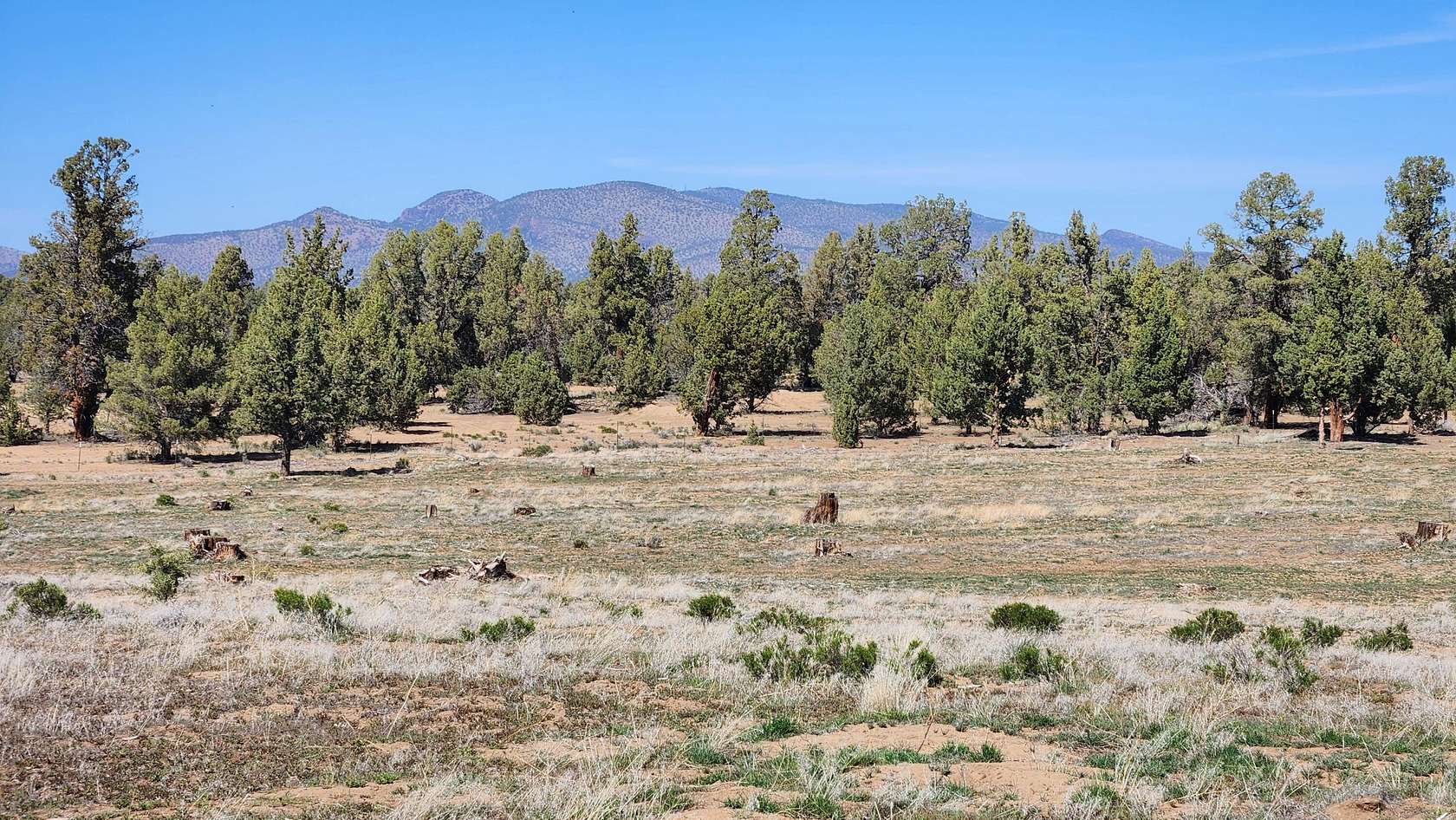 30 Acres of Agricultural Land for Sale in Bend, Oregon