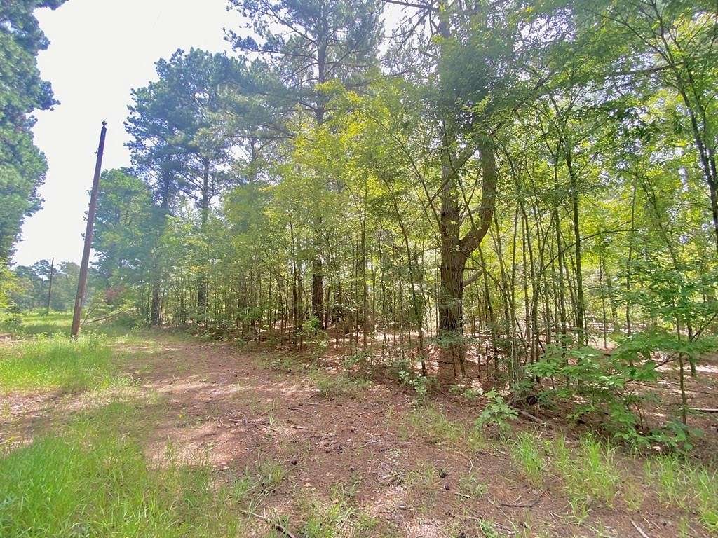 0.79 Acres of Residential Land for Sale in Elkhart, Texas